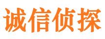 百色外遇出轨调查取证